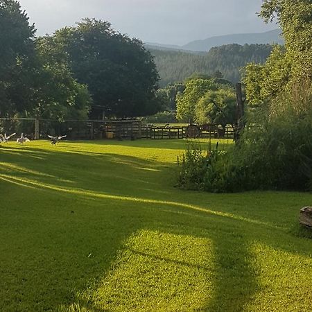 Thandamanzi Self Catering サビー エクステリア 写真